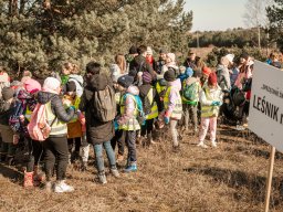 Sprzatanie swiata 15.03.25 Fordon